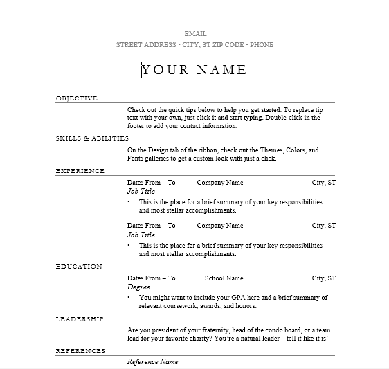 Elegant resume template preview
